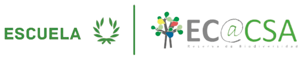 Logo Ecoacsa completo